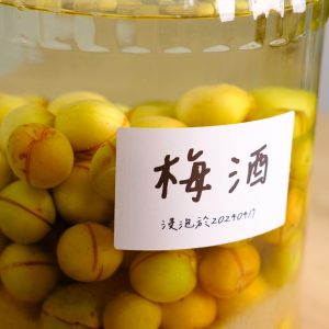 釀梅酒作法